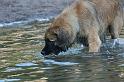 flaten_2008 jul 02_0372